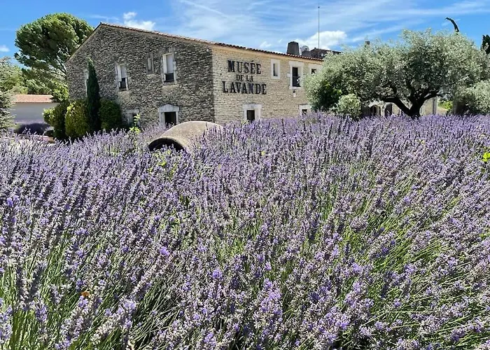 Le Dourmidou - Gite Avec Piscine, Au Pied Du Luberon