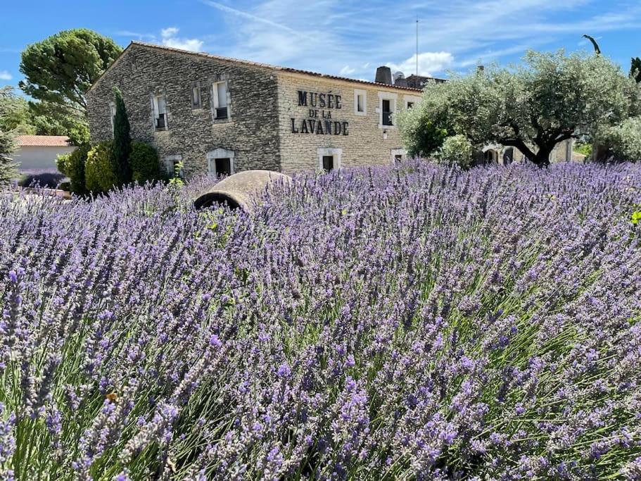 Le Dourmidou - Avec Piscine, Au Pied Du Luberon Holiday home *